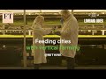 Feeding cities with vertical farming | Rethink Sustainability