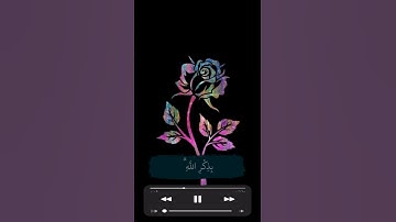 القران الكريم _ سورة الرعد _ القارئ عبدالرحمن مسعد _ تلاوة خاشعة جميلة جدا --❤️ _ #آلله #قرأن #fyp