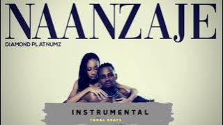 Diamond Platnumz- Naanzaje (Instrumental)