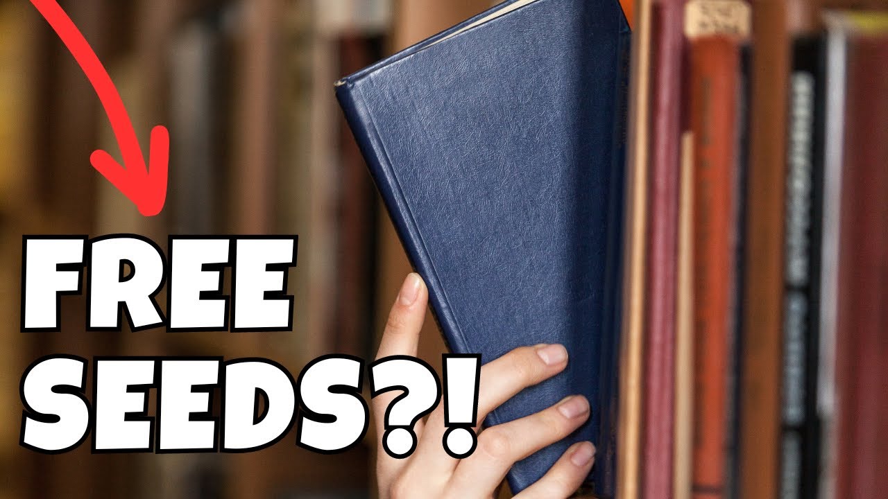 Free Stuff from the Library⁉️