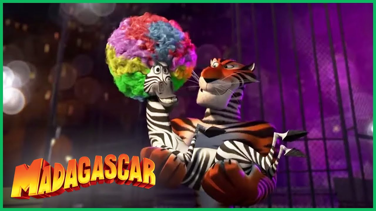 DreamWorks Madagascar em Português | Apresentação Circo - Madagascar 3 | Desenhos Animados