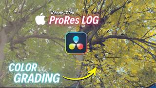 Shot on iPhone 17 Pro + ProRes Log = Kamera Film? I DaVinci Resolve