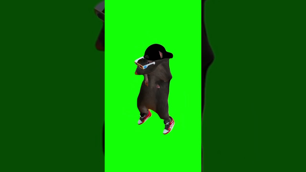 Dancing Mouse Fyp Edit Dance