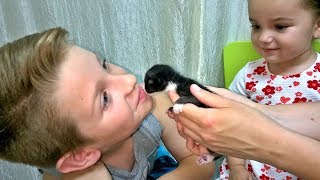 Спасли котенка Кошка родила котят у нас в саду!The KITTEN Спасли котенка Кошка родила котят у нас в саду!The KITTEN