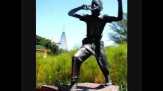 Spokes Mashiyane - Meva - South African Pennywhistler