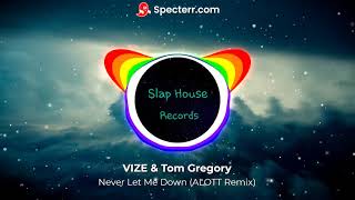 VIZE & Tom Gregory - Never Let Me Down (ALOTT Remix) Resimi