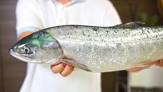 Reasons to watch out for wild salmon!