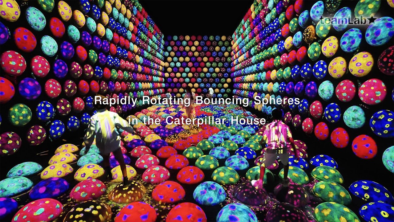 Rapidly Rotating Bouncing Spheres in the Caterpillar House - YouTube