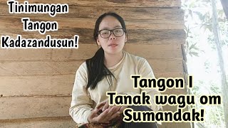 TANAK WAGU,SUMANDAK DAN MONDOU | Tangon do gulu-gulu