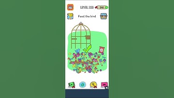 brain storm test level 223 feed the bird 💯 solved perfect solution