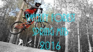 Swinley Forest MTB - Spring Edit