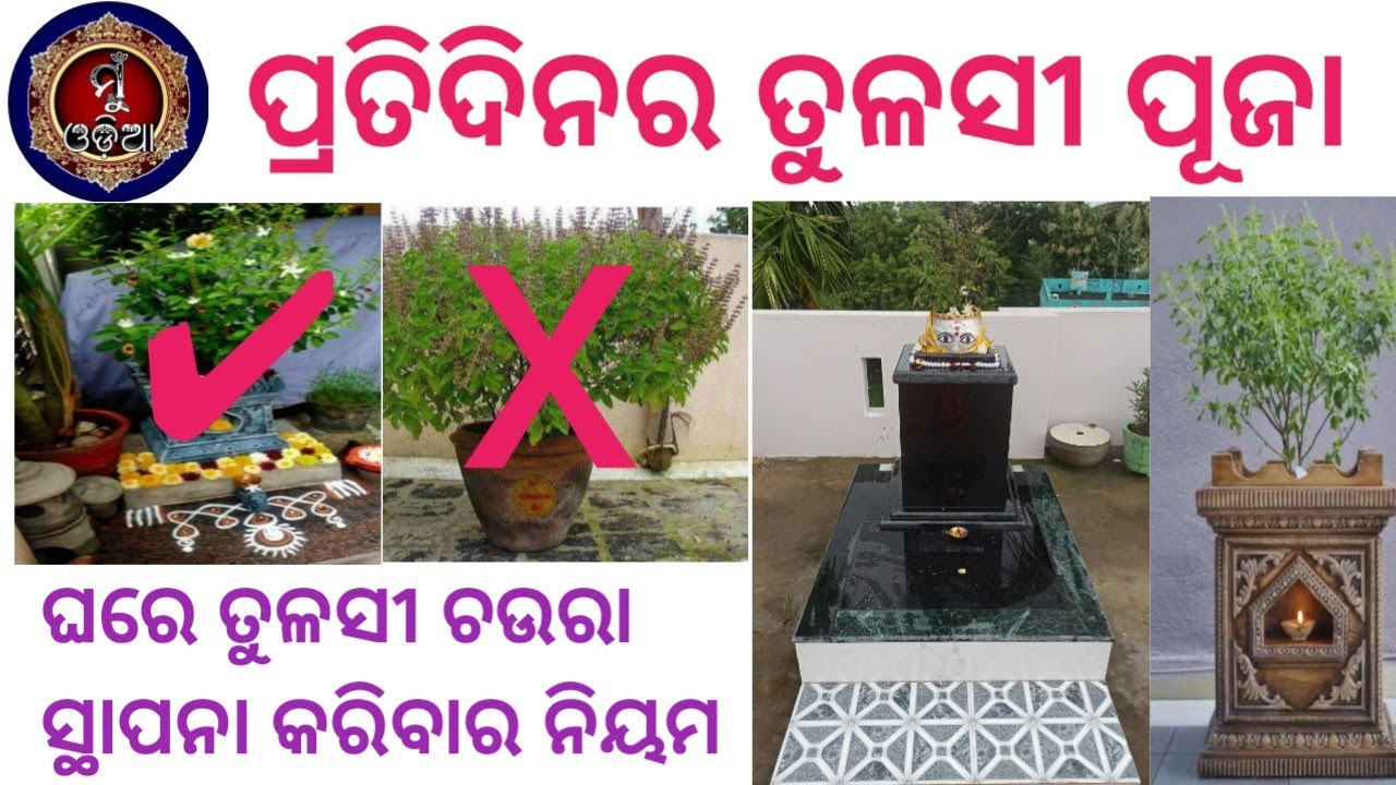 Pratidinara Tulasi Puja ॥ Tulasi Puja ॥ପ୍ରତିଦିନର ତୁଳସୀ ପୂଜା @MuOdiaOriginal