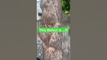 BMC| Timber | SaSuTi | Dushyant Sir | #sscjecivil #sasuti1984 #dushyantsir