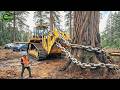Extreme Dangerous Fastest Big Chainsaw Cutting Tree Machines | Monster Stump Removal Excavator #182