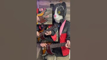 Thumbnail of Iron Maiden The Trooper but 3 Basses