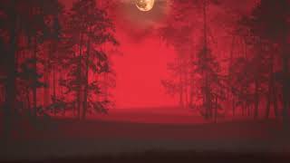 Moon Footage 4k - Full Moon Video HD | Free Stock Footage | Free HD Video - No Copyright