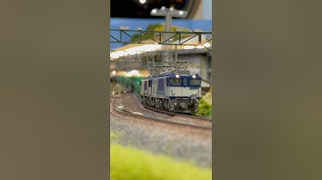 EF64-1000重連 貨物列車　#nゲージ #鉄道模型 #貨物列車