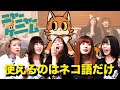 #27【部屋ダラ】使えるのはネコ語だけ!ニャーニャーゲームやってみた【ボドゲ】