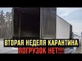 ПОГРУЗОК НЕТ! КАНДИДАТЫ В ВОДИТЕЛИ ОБОРВАЛИ ТЕЛЕФОН! ОТКРЫВАЮ ВТОРОЙ КАНАЛ!