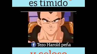 Celos Nivel Vegeta