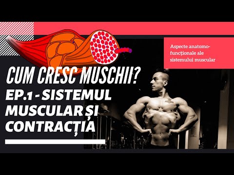 Video: Cum Să Oferiți Ușurare Musculară