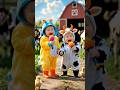 CUTE BABY COW COSTUME SHOLAWATAN Sholawatan Sholawat Sholawatnabi Islamicchildren Ssongs Cut 
