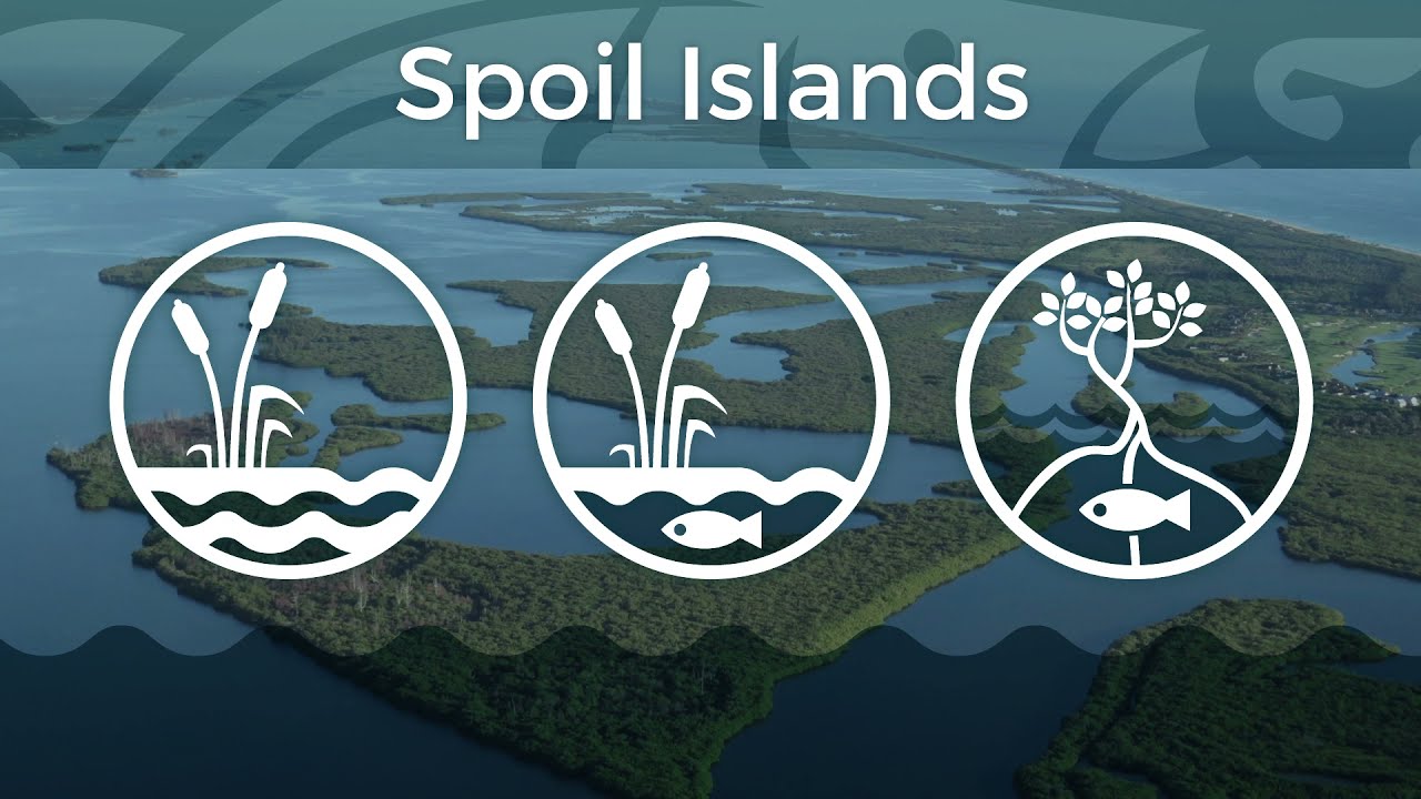 Habitats: SPOIL ISLANDS | Indian River Lagoon Vital Signs