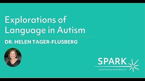 Explorations of Language in Autism