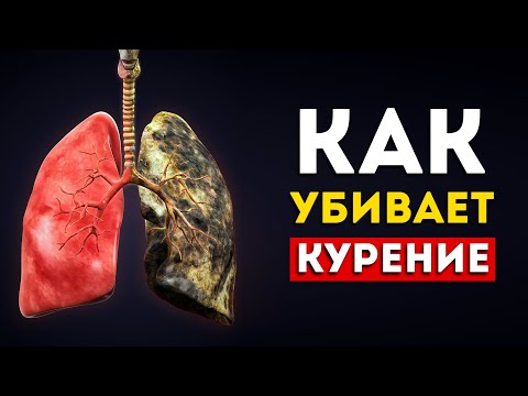 Вот что происходит с телом когда куришь (Впечатляет)