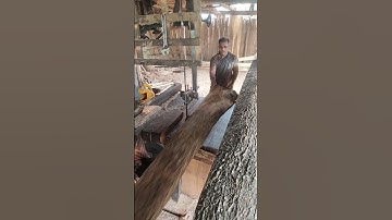 Big Wood Cutting Skills  #sawmill #woodcutting #wooddesign #wood #sawwood #wooddesigns
