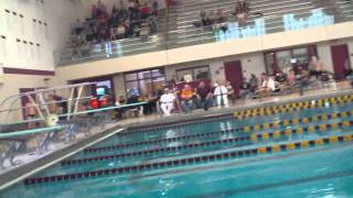 Dan Taylor Diving