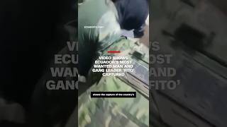 Celebrity Video shows Ecuador’s most wanted man and gang leader ‘Fito’ captured Net Worth