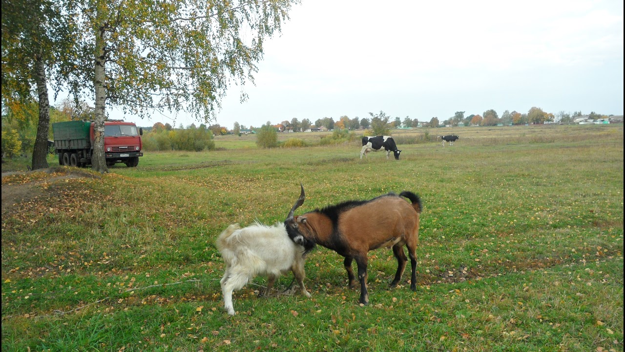 пообщаемся часок.