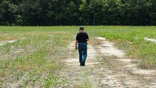 Saltwater Intrusion on Maryland's Eastern Shore Farmland (2024)