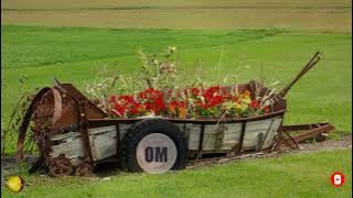 RAMONA FABIAN - CARU` CU MUIERI STRICATE 💜 (Versuri | Lyrics)