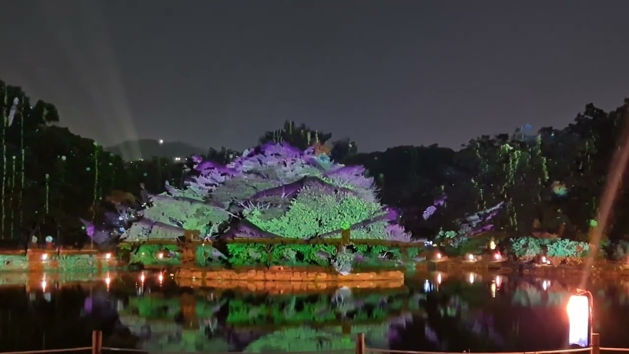 64.창경궁 야간개장 