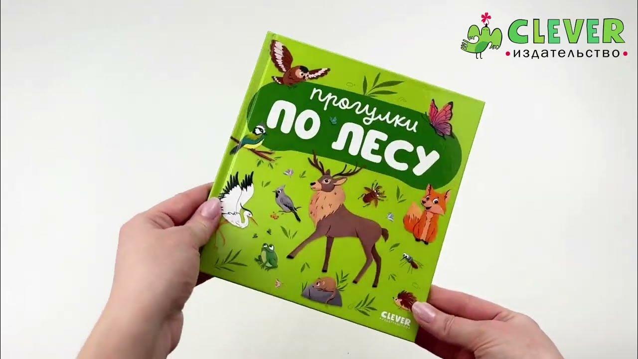 Главная книга малыша. Прогулки по лесу - YouTube