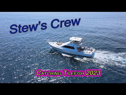 Catching TONS of Tile Fish Off Ocean City, MD Catching TONS of Tile Fish Off Ocean City, MD