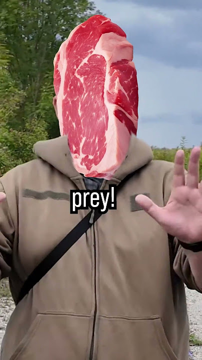 How to survive a mountain lion ATTACK 🐆 #survival