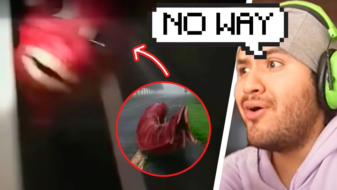 ⚠️⚠️ MICHU reacts VITA CARNIS ⚠️⚠️