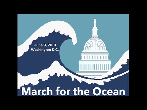 David Helvarg - A Blue Vision and a March for the Ocean