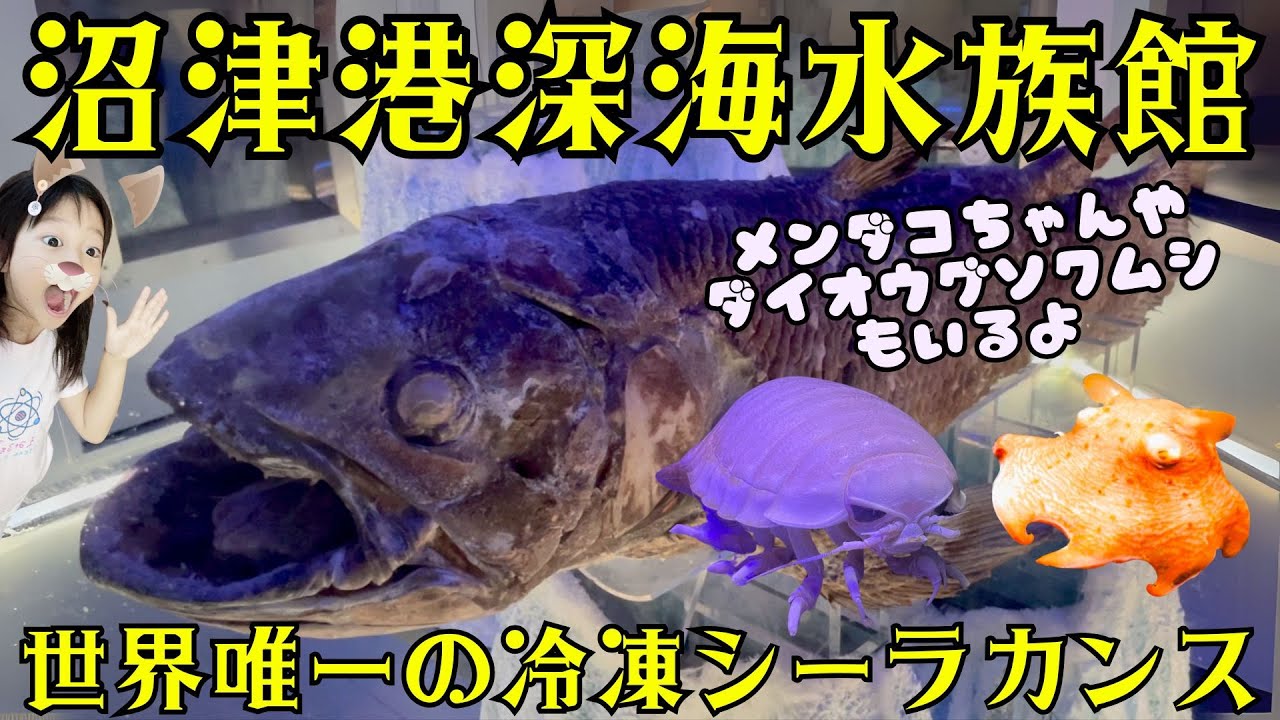 Numazu Deep Sea Aquarium] Explore the wonders of the deep sea
