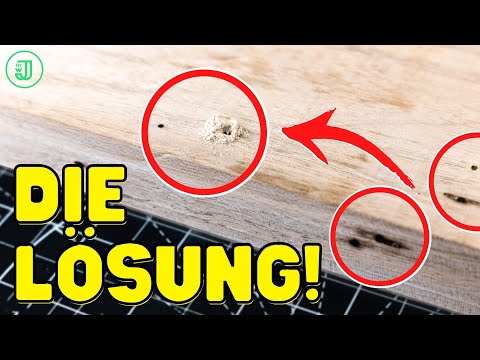 Video: Kann man Holz gegen Termiten sprühen?