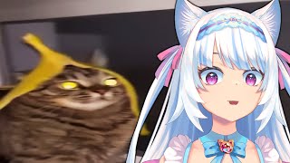 Milky Mew reacts to UNUSUAL MEMES COMPILATION V258