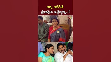 పాప నీ ప్రాణం కావాలని అడిగినా వెంటనే ఇచ్చే దాన్ని.! l YS Sharmila l YS Jagan l NTV Telugu