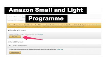 Amazon FBA Small and Light Programme