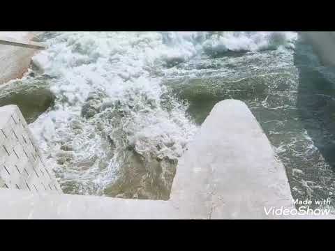 افتتاح ترعة السلام في شمال سيناء بقريه رمانه