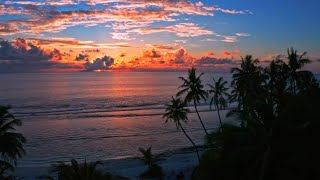 Beachside Harmony: Sunrise to sunset spectacle