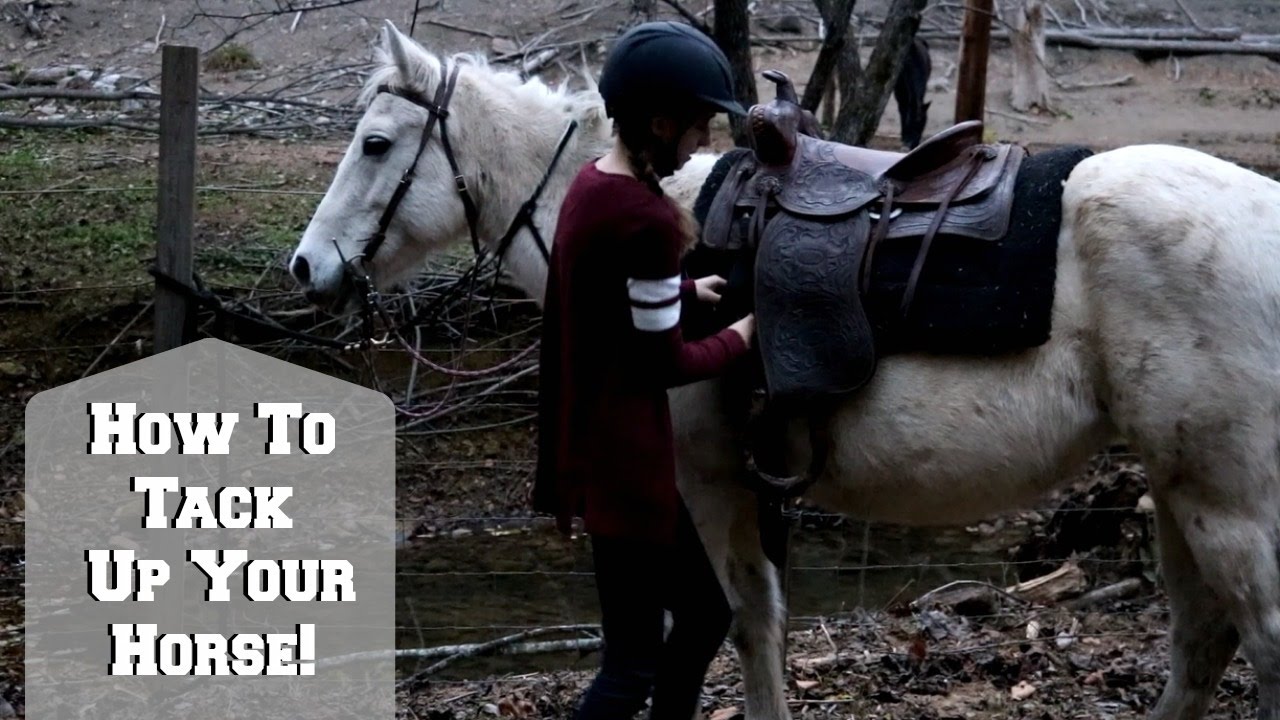 How to Tack up a Horse Western Style YouTube