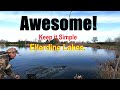 Stillwater fly fishing simple how to catch trout in coloured water all year round ellerdine lakes